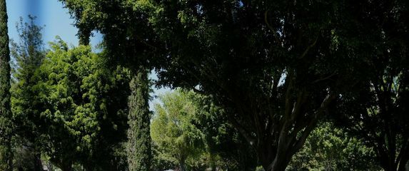 Pokopan El Mencho - 1