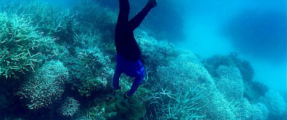 Ronilac, ilustracija