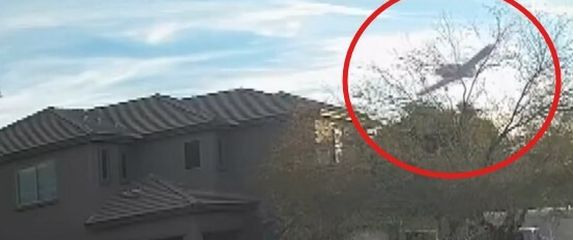 Avion pao u dvorište