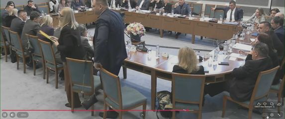 Investitori farme pilića na sjednici saborskog Odbora