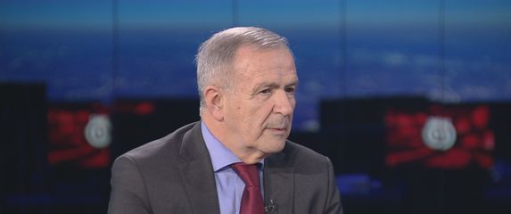 Luka Brkić, ekonomski analitičar