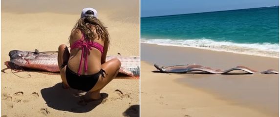 Riba veslo na plaži u Meksiku