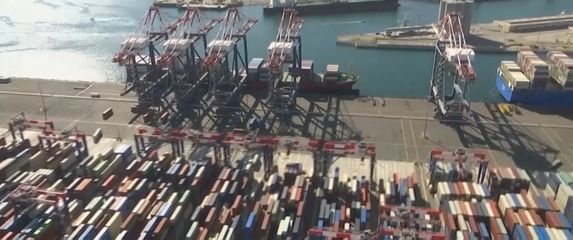 Zasutavljen izvoz junadi u Libanonu - 5