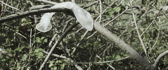 Kondom na grani, ilustracija