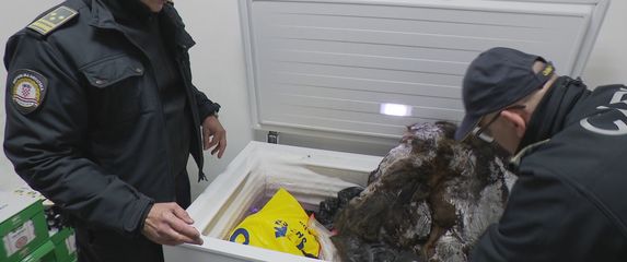 Bizarna zapljena na carinskom pregledu