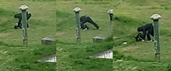 Zlostavljanje psa u Novom Zagrebu