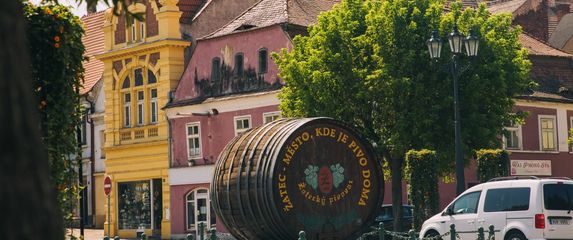 Žatec, grad hmelja i piva - 8