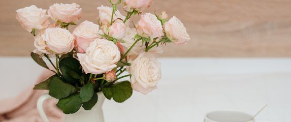 Što nam je ovog tjedna zapisano u zvijezdama?