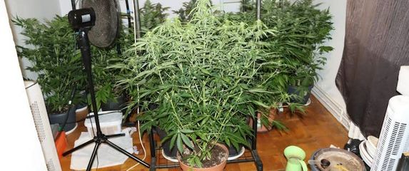 Zagrebačka policija na Trešnjevci pronašla drogu - 5