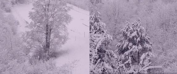 Snijeg u Gorskom kotaru