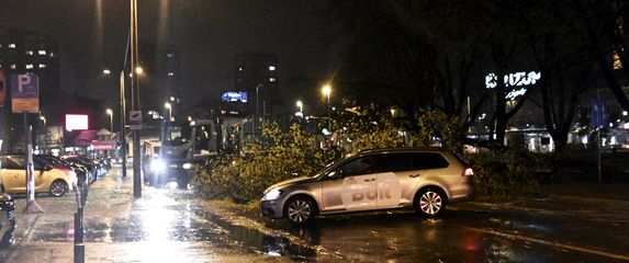 Nevrijeme rušilo stabla u Zagrebu - 4
