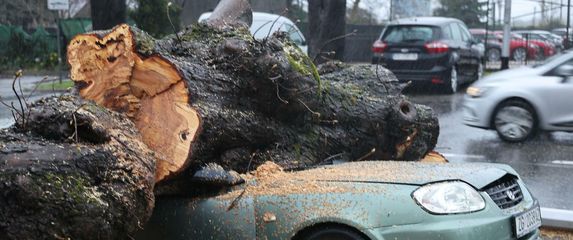 Nevrijeme srušilo stablo koje je palo na automobil