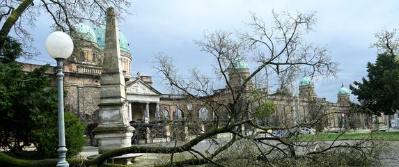 Šteta na Mirogoju - 1