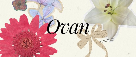 Ovan