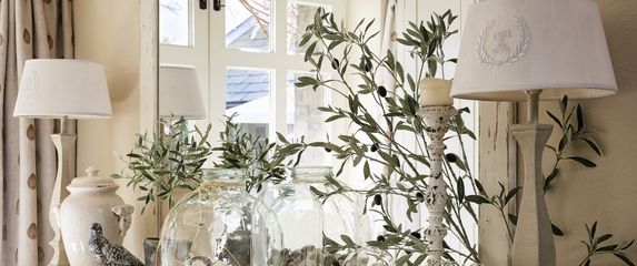 Maslinove grančice kao dekoracija u domu - 7