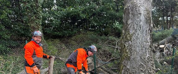 Nastavlja se sanacija u Zagrebu nakon olujnog nevremena - 3