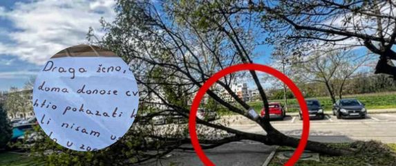 Ljubavna poruka na palom stablu u Hrvatskoj