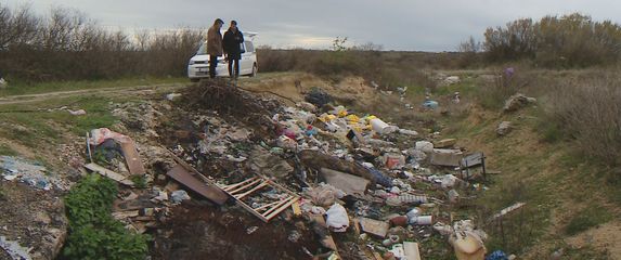 Otrovana strogo zaštićena vrsta ptica