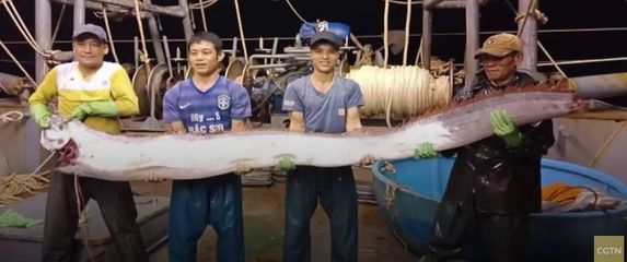 Uhvatili rijetko viđenu ribu dugu gotovo četiri metra (Screenshot YouTube)