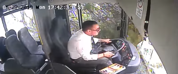 Na autobus u vožnji palo stablo bora (Foto: Screenshot/YouTube)