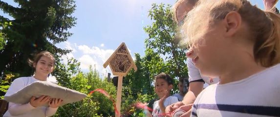 Samoborska djeca napravila hotel za pčele