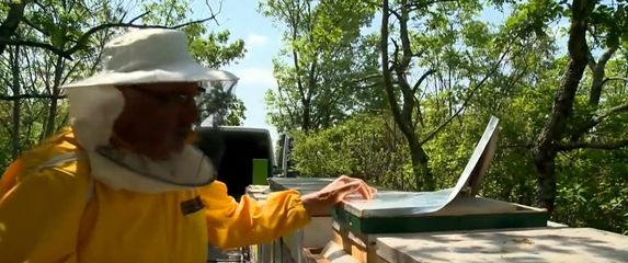 Vandal oštetio 22 košnice - 1