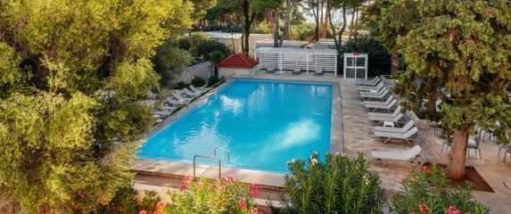 Crno jaje ponude za Dan državnosti - 3