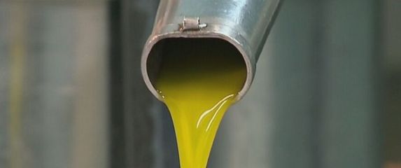 Maslinovo ulje, ilustracija - 4