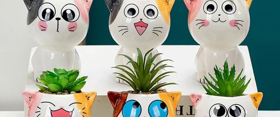 Vaze za sukulente u obliku mace