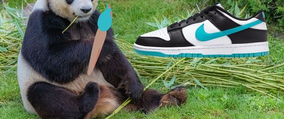 Panda s kisom i tenisice Nike Dunk