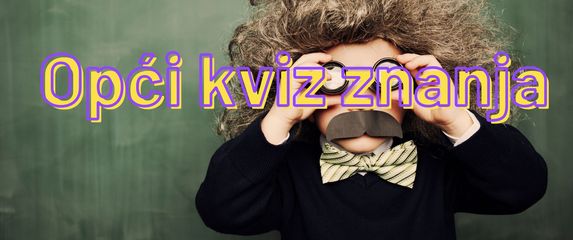 Dijete u kostimu Alberta Einsteina i natpis Opći kviz znanja