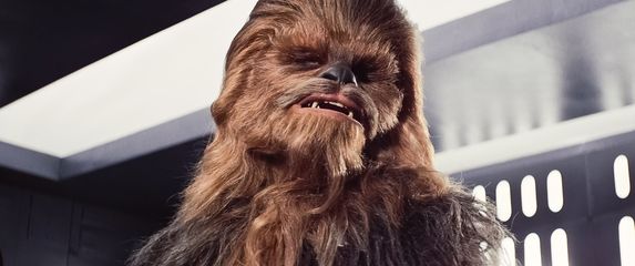 Peter Mayhew