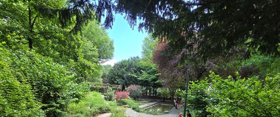 Samsung S24 Ultra - 5