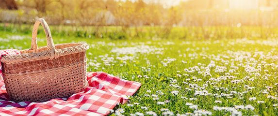 Proljeće, ilustracija