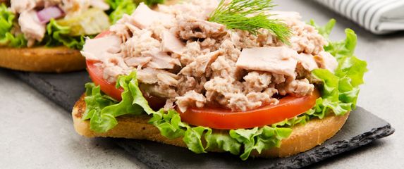 Tost s tunom i povrćem