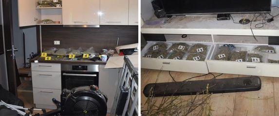 Droga koju je pronašla istarska policija