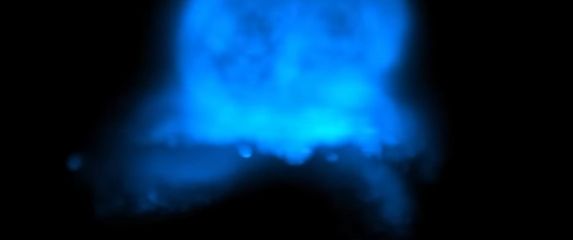 Formiranje srca u embriju miša