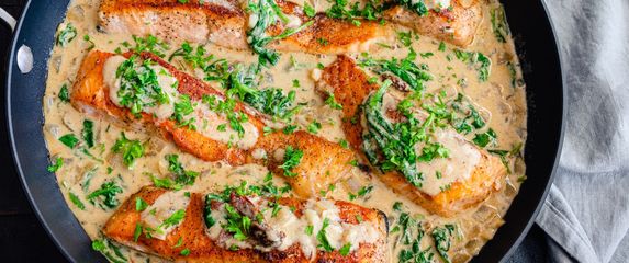 Losos u kremastom umaku