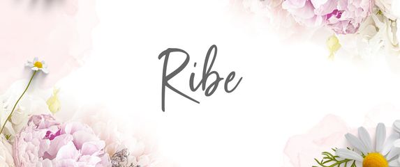 Riba