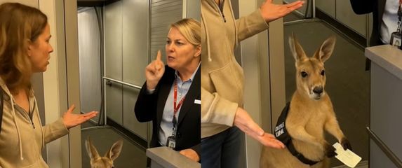Klokan s kartom u ruci kako čeka ukrcaj na let