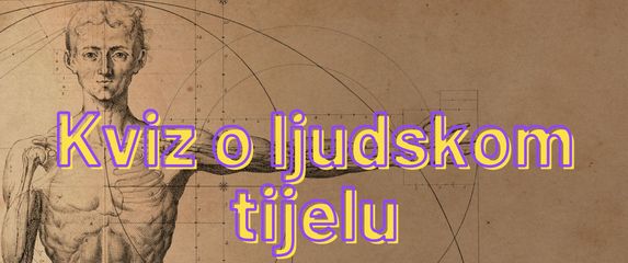 Kviz o ljudskom tijelu