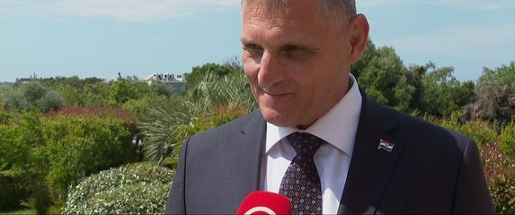 Ivica Budimir