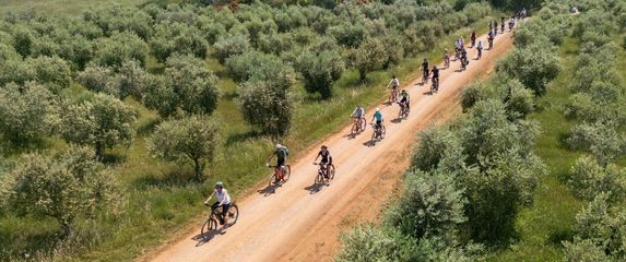 Gourm-E-bike Kaštelir-Labinci - 1