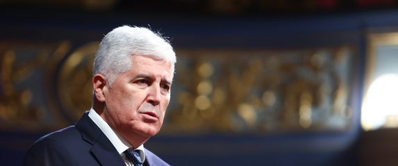 Dragan Čović, Predsjednik HNS-a BiH
