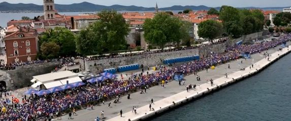 Wings for Life World Run