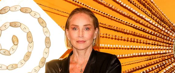 Sharon Stone u satenskom odijelu - 5
