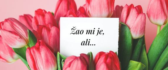 Ovako ne zvuči iskrena isprika