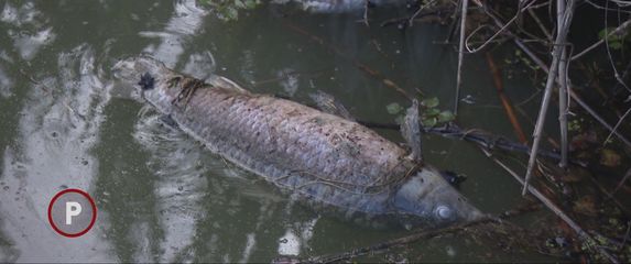 Kanalizacija u potocima i prirodi
