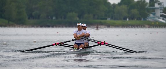 Braća Sinković