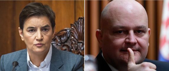 Ana Brnabić, Ante Šušnjar